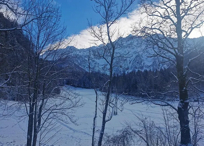 Iris * Zgornje Jezersko